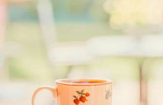 Kaminhaus 2 Fehmarn mit Sauna und Kamin - Foto 4