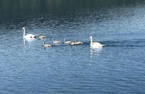 Casa del Sole, Lago di Monate - Foto 26
