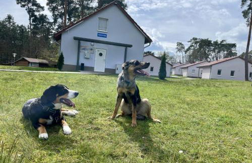 Seepark Wolfswinkel - Foto 41