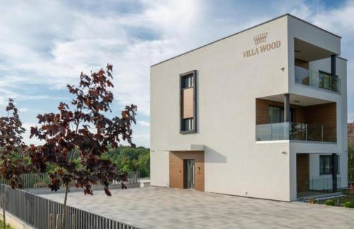 Apartments Villa Wood - Foto 5