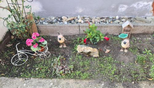 Haus Kurtrier - Foto 2