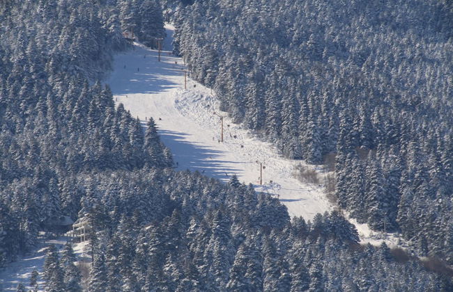 Vila Ambasador Bratin Dol - Foto 25