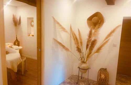 Le Mas des Alberes Piscine privative proche mer et Collioure, climatisation, parking ,WiFi - Foto 27