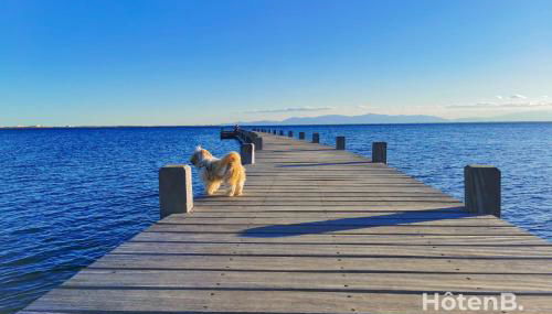 Natural Escape Air-Conditioned T2 BIS Pools and Private Estate in Fitou! - Foto 1