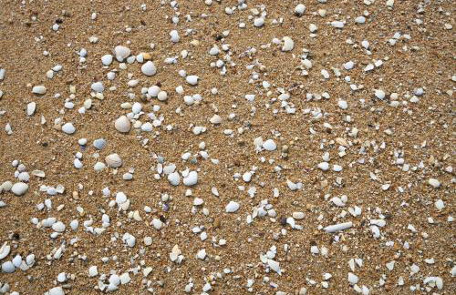 apart@CostaSantoAndré Beach - Foto 17