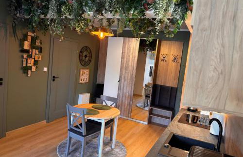 Oliwkowy - stylowy Apartament w naturalnym klimacie - Photo 53