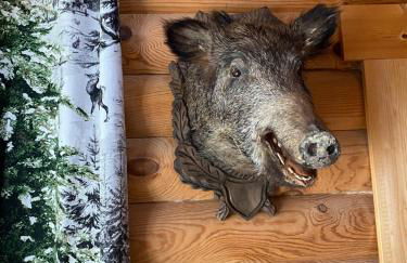 Blockhaus Rennsteig - Foto 19