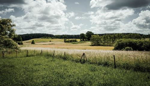 Feriendomizil Alter Garten - Photo 3