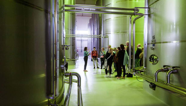 Bailén Oil Mill Tour + Tasting - Foto 4