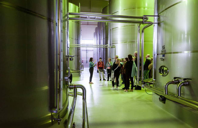 Bailén Oil Mill Tour + Tasting - Foto 4