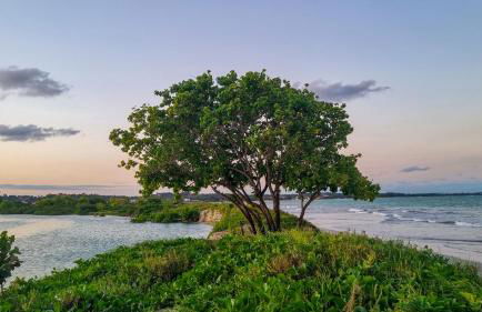 Casa de Praia com Piscina em Maceió - Ipioca - Sauaçuhy - Foto 15