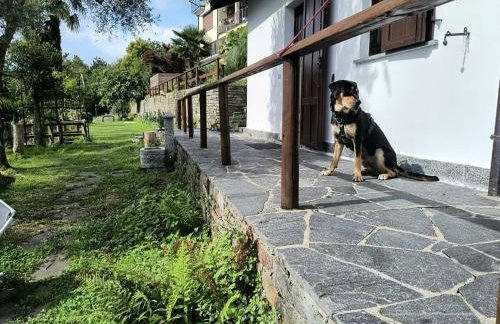 Mid of Nature ' Bella Vista Lago Maggiore charmant mit traumhaften Seeblick, Terrasse und großen Garten - Foto 19