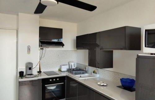 Appartement CHLOE vue mer et Canigou 1ere ligne - Foto 2