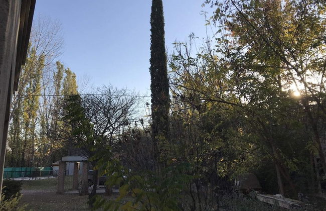 Dark Green House - Chacras de Coria - Photo 62