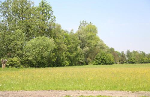 Gospodarstwo Agroturystyczne Stary Młyn Wilczkowice - Foto 14