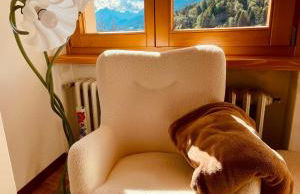 Casa DaRin - Photo 28