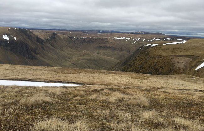 Beautiful 8-bed House in Angus - Foto 15