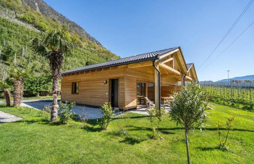 Pixnerhof Chalet Natyra - Foto 24