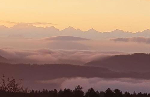 Elegante Ferienwohnung im Schwarzwald, Gorwihl - Foto 45