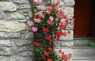 Affittacamere Chez Magan - Foto 17