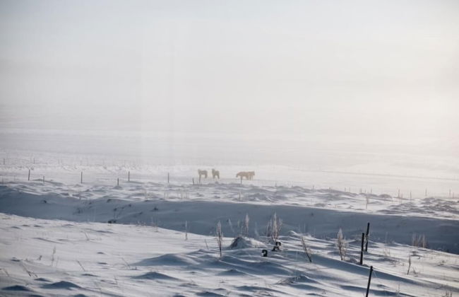 Hellatún Guest House - Foto 37