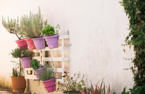 Lora Apartments & Studios with Balcony in Ipsos Corfu - Photo 13