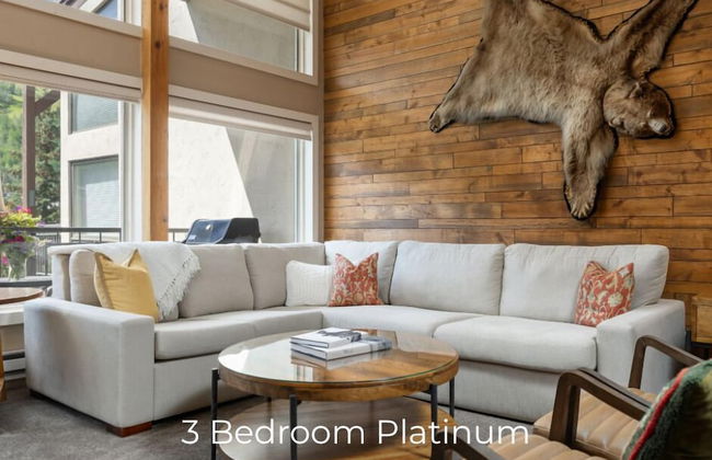 Montaneros in Vail - Foto 42