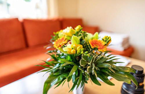 Ferienhaus Krakow am See - Foto 3