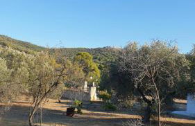 Vasso Galati House - Foto 15