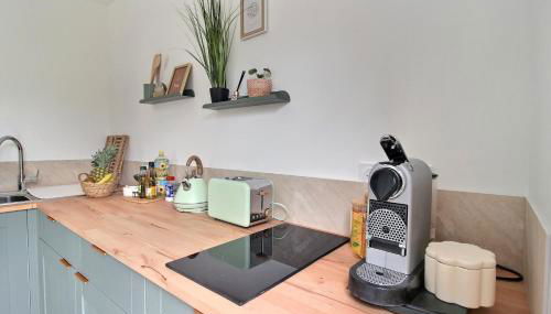 Garden & Spa Camélia - Foto 5, stove, toaster