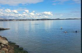 Captain's Cottage, Widows Row, Newcastle - Foto 22