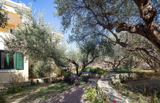 Villa Eleni in Pigianos Kampos - Photo 32