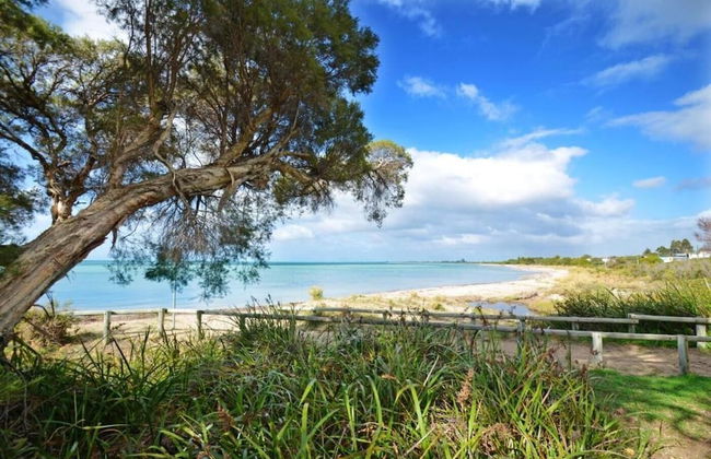 Halcyon Daze - Foto 25