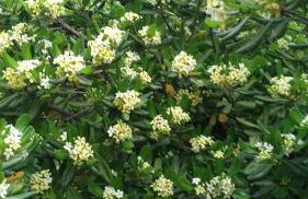 Apartments Jug - Foto 31