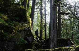 Retro A-Frame Cabin - Hot tub Firepit & Fireplace - Foto 27