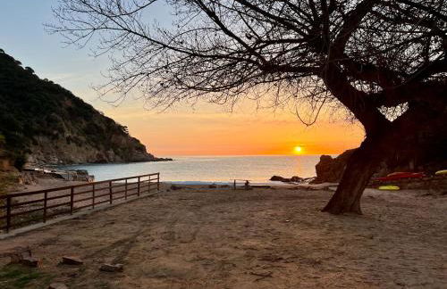 Casa Paradis Rosamar - Luxury villa with pool 1min walk from beach Costa Brava! - Foto 72