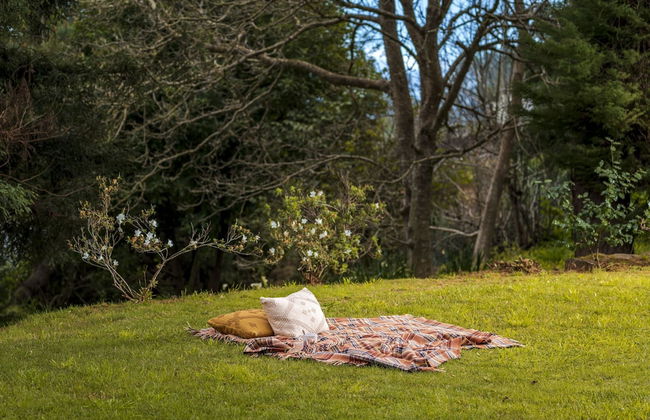 Surrounded by Nature - Casa da Cebola - Foto 34