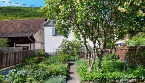 Ferienhaus Hildahüsli - Foto 2