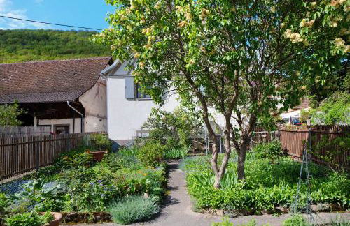 Ferienhaus Hildahüsli - Foto 2