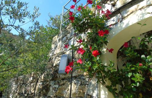 Dependance Belvedere - Foto 26