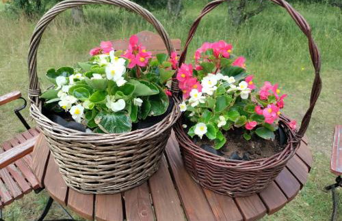 Widny Jaś zaprasza z psem nad jezioro na Kaszubach - Foto 11