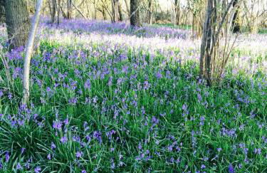 Yellowham Farm, Dorchester - Photo 12