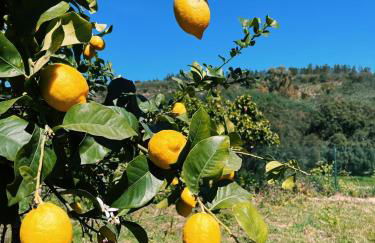 Casa La Rocita - Foto 70