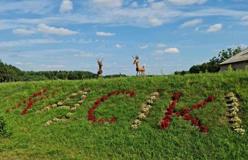 Agroturystyka TWÓJ KĄCIK - Foto 44