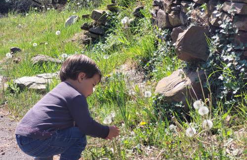 Trocito de Paraíso en la Sierra Espadán - Foto 16