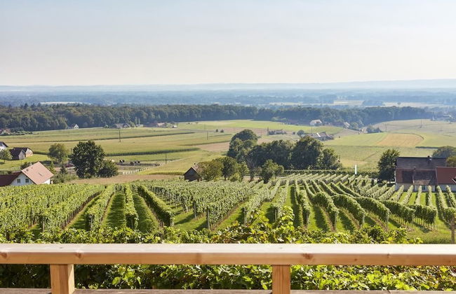 Weinberg Lodge - Kellerstöckl - Foto 9