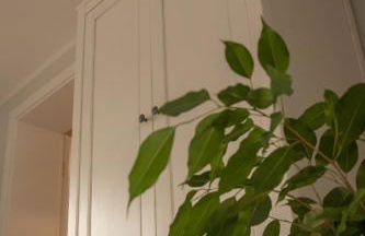 Ferienwohnung Familie Rauch - Foto 13