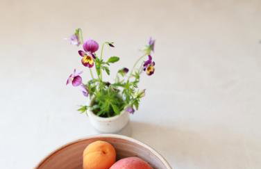 Apartament Kasztanowy - Foto 16