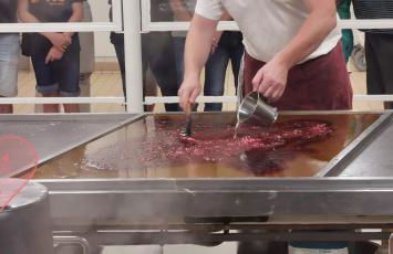 Gîte Le Clos des Vosges - Foto 43