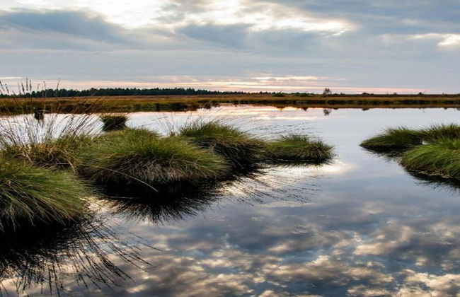 Tranquil Retreat in Appelscha - Foto 31